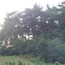 성덕동-3 이미지