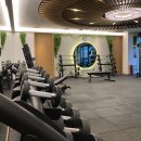 마인드필라테스신화역사점