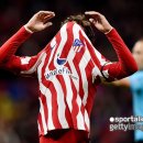 펠릭스짐 이미지