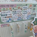 햇살클럽 팝업 후기 | 귀여움 한가득💛맹글도어•히야네•메이빈•딩굴댕굴 망원 팝업