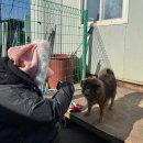 컴포즈커피 안성중앙로점 | 2월 중반까지 일상 / 아쿠아필 크라이오셀 후기 / 대화역 컴포즈커피