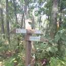 소쇄원(주차장) Daum카페