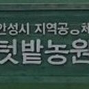 예랑농원 이미지