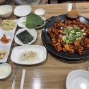 신모라 쭈꾸미 이미지