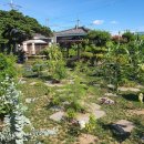 마음이 머무는곳 | [공지] 🌿 제주 조천, 마음이 머무는 곳 — 사모정