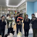 도로시지켜줄개 이미지