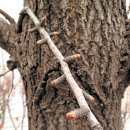 나무와 친해지기 이미지