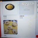 원조 초원 밀면 돼지국밥 | 부산 서면 맛집 밥집 원조 부산 밀면 서면본점 다녀온 후기