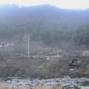 천년가요