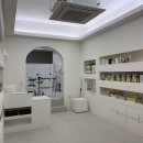 강남펫살롱 이미지