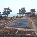 동해해비치 | 동해숙소 동해의 숨은 보물, 해비치펜션에서의 매혹적인 경험