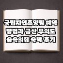 금산의집 | 국립자연휴양림 예약 방법과 금산 무의도 숲속의집 숙박 후기