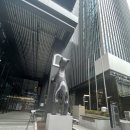내돈내산 강남 피코슈어+피코플러스 + 제네시스 기미 잡티 흑자 관리 트리플토닝:)
