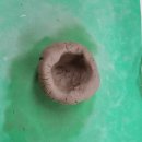 삼육라이튼어린이집 이미지