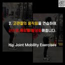 바디실루엣