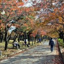 담소동락 이미지