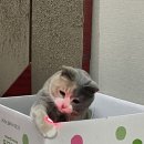 WR(대구광역시 남구)-28[대명로]-하-6 | 벌써 4월이