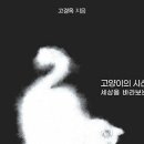 거인의어깨 이미지