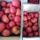 합천푸드뱅크 이미지