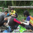 선유대 도장 이미지