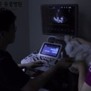 유성준동물병원 이미지