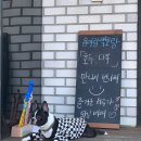 백호목욕탕 | 안산 대부도 용이랑 백호랑 애견 독채펜션 내돈내산 후기