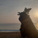 해파랑길 18코스 이미지