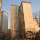 분당-393 이미지