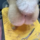 아임그루머 이미지