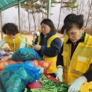 대원자원 이미지