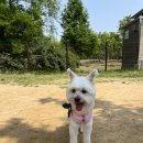 (주)소프트매쉬 이미지