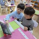 플레도 이미지