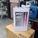 DNS 모터스 이미지