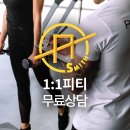 피티스미스 이미지