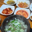 한일옥 | [전북/군산] 한우무국 “한일옥” 주말방문 내돈내산후기(feat.한우육회무침)