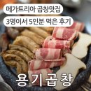 용기곱창 | 메가트리아 곱창맛집 용기곱창, 모둠구이부터 볶음밥까지 만족한 후기