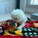 플로렌 | 다이어트음료 상큼해서 매일 먹게 되는 플로렌 애사비 브이컷 후기