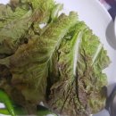 양동식당 이미지