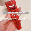 호주 여행 필수템 기념품 추천 포포크림(pawpaw), 사용 후기 및 활용법