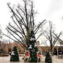 파티파티 | 혜화 대학로 연극 '아모르 파티' 후기!