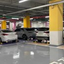 라라코스트배곧점(베니스스퀘어내 위치) 이미지