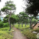 한방자연휴양림(산청) 이미지