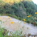 율리 휴양촌 이미지