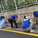 이면도로 잡초제거 이미지