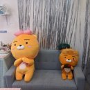 라이언의보물섬 이미지