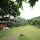 홍천 시실리펜션 이미지