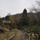 팔용산체육공원 네이버블로그