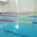 경희한얼스포츠 이미지