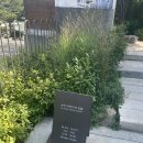 1과학자스토어 | [뷰티과학자의집] 마케터가 다녀온 아모레퍼시픽 북촌 팝업스토어 뷰티과학자의집 展 후기