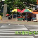 삼계우체국 앞 티스토리